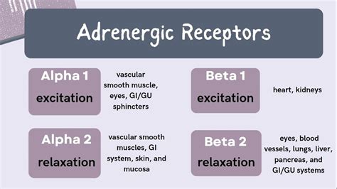 alpha and beta receptors chart|UpToDate.